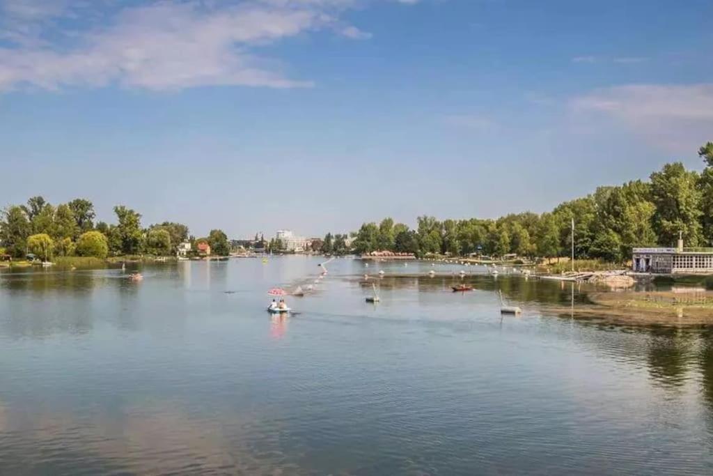 Schoenes Living Am Donauufer ウィーン エクステリア 写真