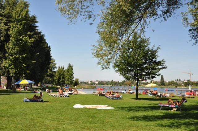 Schoenes Living Am Donauufer ウィーン エクステリア 写真